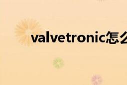 valvetronic怎么讀（valvetronic）