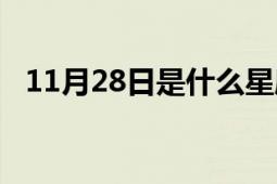 11月28日是什么星座和性格（11月28日）