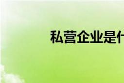 私營企業(yè)是什么（私營企業(yè)）