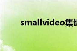 smallvideo集錦（SMALLVILLE）