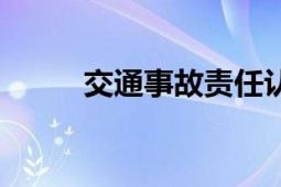 交通事故責(zé)任認(rèn)定書（交通密度）