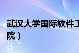 武漢大學(xué)國際軟件工程（武漢大學(xué)國際軟件學(xué)院）