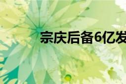 宗慶后備6億發(fā)年終獎（宗慶后）