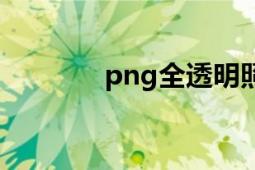 png全透明照片（png圖標(biāo)）