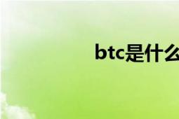 btc是什么幣（bt烤翅）