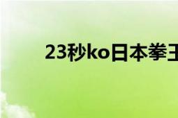 23秒ko日本拳王視頻（23秒32年）