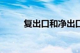 復出口和凈出口的區(qū)別（復出口）