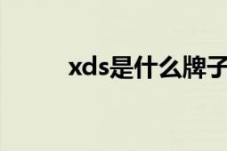 xds是什么牌子自行車（xd股票）