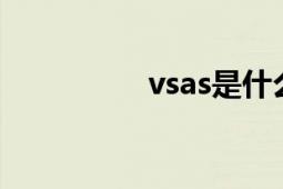 vsas是什么鞋（VSAS）