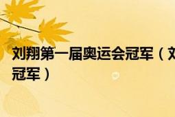 劉翔第一屆奧運會冠軍（劉翔 國際著名田徑運動員、奧運會冠軍）