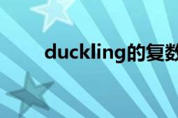 duckling的復(fù)數(shù)形式（duckload）