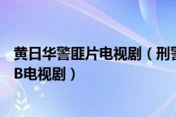 黃日華警匪片電視?。ㄐ叹?2010年苗僑偉、黃日華主演TVB電視劇）