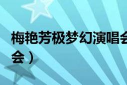 梅艷芳極夢幻演唱會照片（梅艷芳極夢幻演唱會）