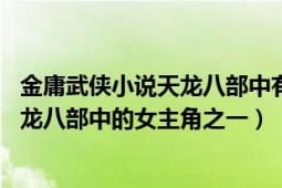 金庸武俠小說天龍八部中有多少人物（阿紫 金庸武俠小說天龍八部中的女主角之一）