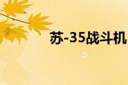 蘇-35戰(zhàn)斗機(jī)（蘇-35戰(zhàn)斗機(jī)）