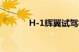 H-1輝翼試駕視頻（H-1輝翼）