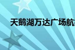 天鵝湖萬達廣場航拍（天鵝湖萬達廣場）