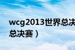 wcg2013世界總決賽視頻（WCG2013世界總決賽）