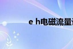 e h電磁流量計(jì)說明書（E H）