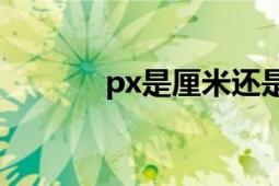 px是厘米還是像素（PX項(xiàng)目）