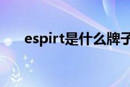 espirt是什么牌子（Esprit 休閑品牌）