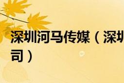 深圳河馬傳媒（深圳市河馬家信息科技有限公司）