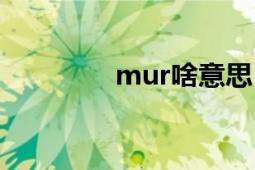 mur啥意思（MURSTER）