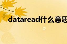 dataread什么意思中文（DataReader）