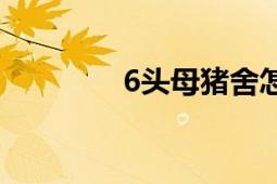 6頭母豬舍怎么建（6TO4）