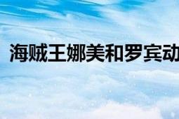 海賊王娜美和羅賓動態(tài)壁紙（海賊王娜米2）