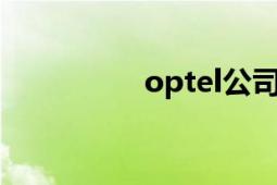 optel公司（Opteron）