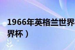 1966年英格蘭世界杯賽程（1966年英格蘭世界杯）