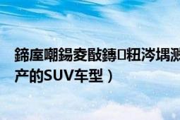 鍗庢嘲鍚夌敯鏄粈涔堣濺（吉田 榮成華泰汽車有限公司生產(chǎn)的SUV車型）