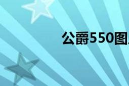 公爵550圖片（公爵550）