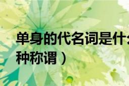 單身的代名詞是什么（單身公害 單身者的一種稱謂）