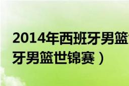 2014年西班牙男籃世界杯決賽（2014年西班牙男籃世錦賽）