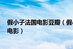 假小子法國電影豆瓣（假小子 2016年法國、加拿大、美國電影）