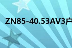 ZN85-40.53AV3戶內(nèi)交流高壓真空斷路器