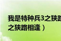 我是特種兵3之狹路相逢劇情（我是特種兵3之狹路相逢）