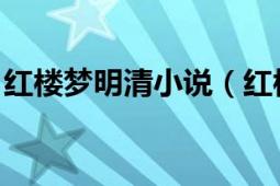 紅樓夢明清小說（紅樓夢 清代長篇人情小說）