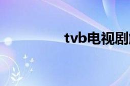 tvb電視劇解說(shuō)（tvb體）