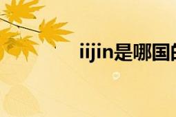 iijin是哪國的牌子（IIJIN）