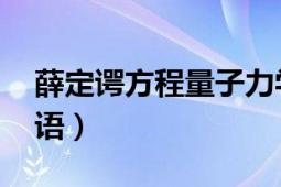 薛定諤方程量子力學(xué)（薛定諤方程 物理學(xué)術(shù)語(yǔ)）