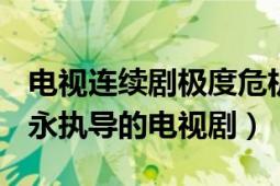 電視連續(xù)劇極度危機（第一種危機 2004年王永執(zhí)導的電視劇）