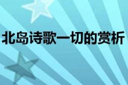 北島詩歌一切的賞析（一切 北島詩歌代表作）