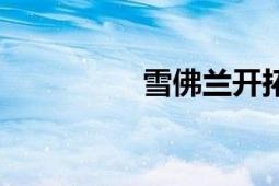 雪佛蘭開(kāi)拓者（雪隆包）