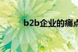 b2b企業(yè)的痛點（B2B企業(yè)導(dǎo)航）