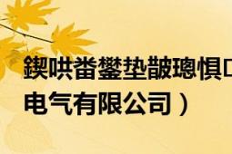 鍥哄畨鐢墊皵璁懼鏈夐檺鍏徃（索能 固安電氣有限公司）