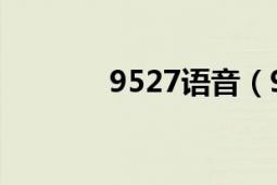 9527語音（9527 網(wǎng)絡(luò)語言）