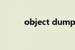 object dump（Object Dock）